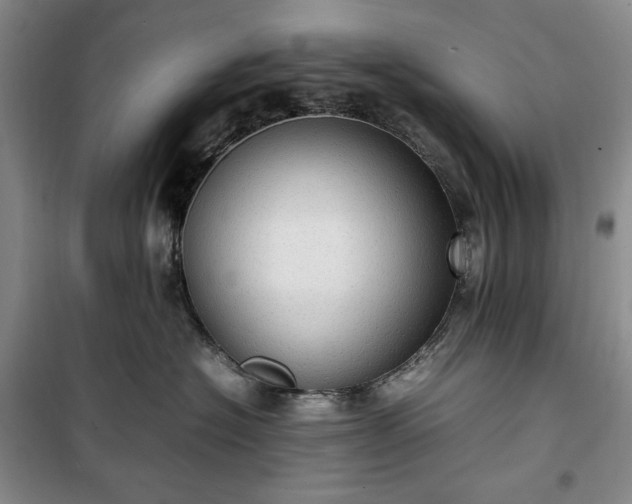 X0000100350574200806130955