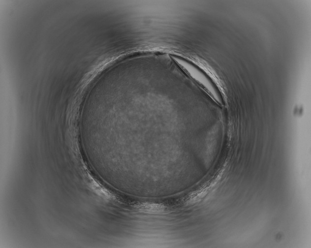 X0000100350577200806130954