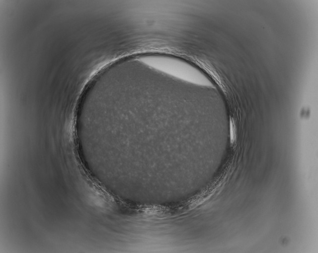 X0000100350579200806130954