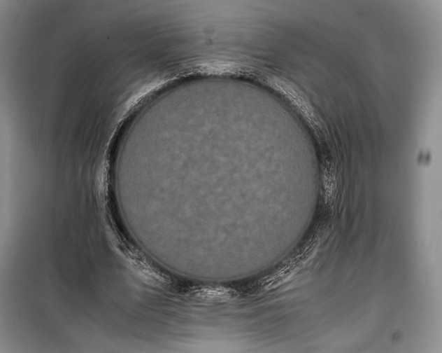 X0000100350583200806130954