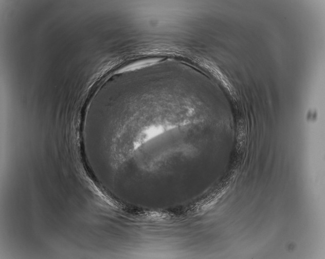X0000100350585200806130954