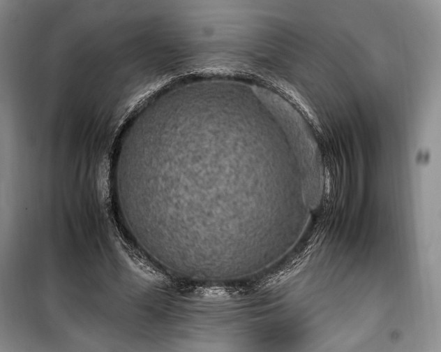 X0000100350588200806130954
