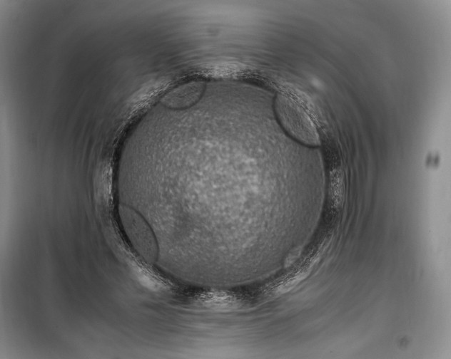 X0000100350589200806130954