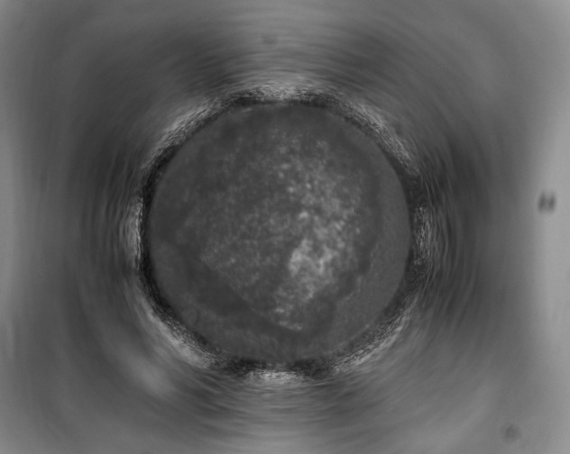X0000100350590200806130954