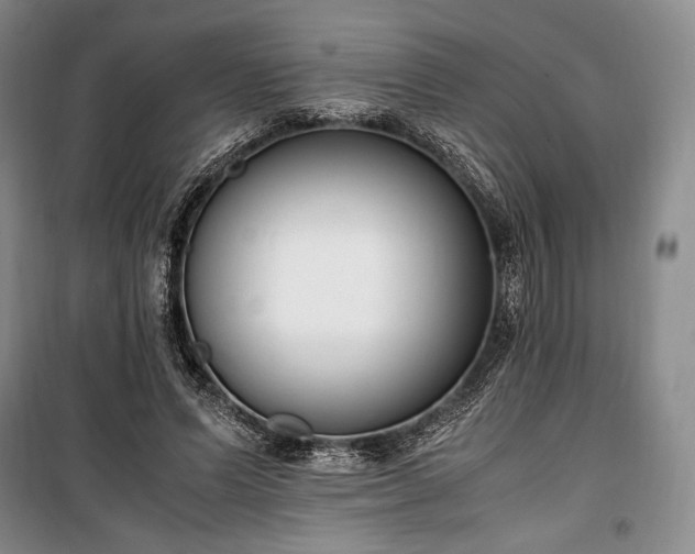 X0000100350591200806130954