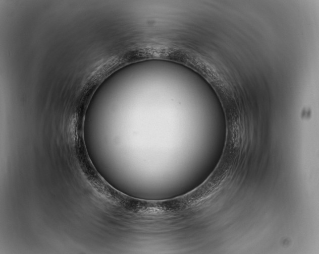 X0000100350594200806130954
