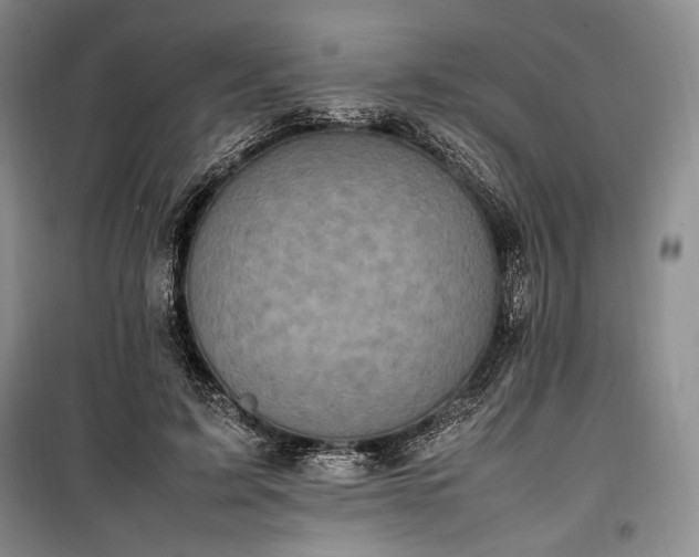 X0000100350595200806130954