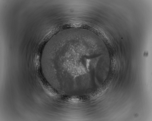 X0000100350598200806130954