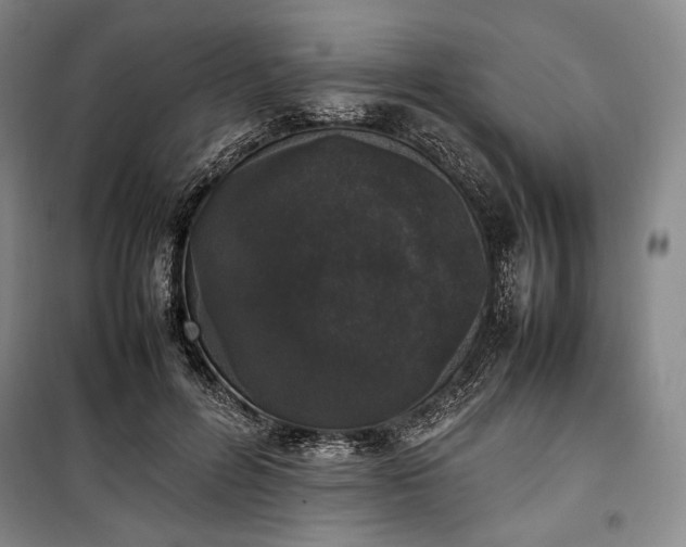 X0000100350600200806130954