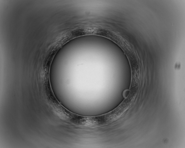 X0000100350601200806130954