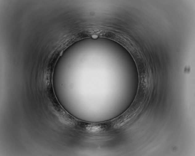 X0000100350602200806130954