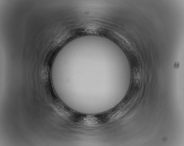 X0000100350603200806130954
