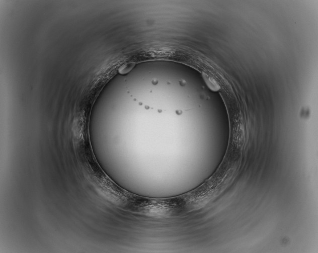 X0000100350604200806130954