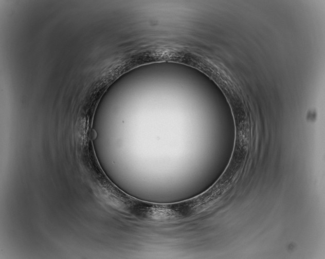 X0000100350605200806130954