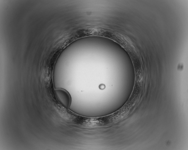 X0000100350607200806130954