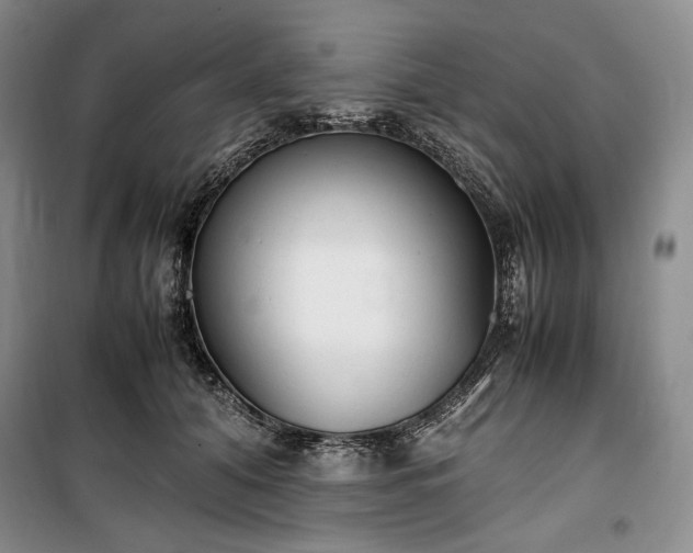 X0000100350608200806130954