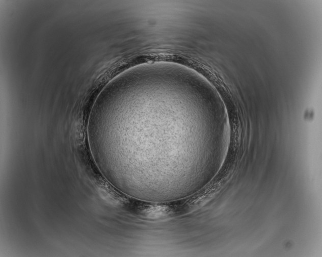 X0000100350609200806130954