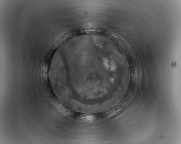 X0000100350610200806130954