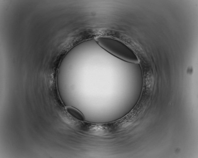 X0000100350611200806130954