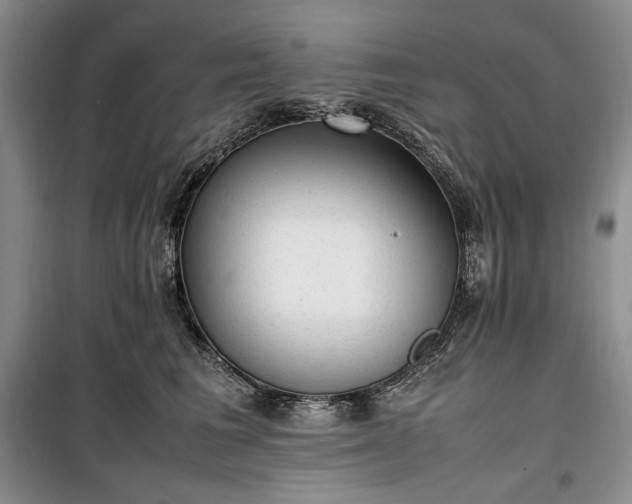 X0000100350613200806130954