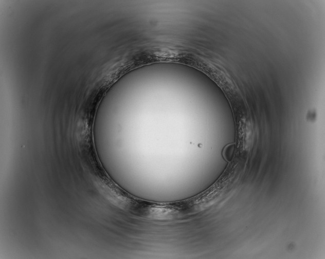 X0000100350614200806130954