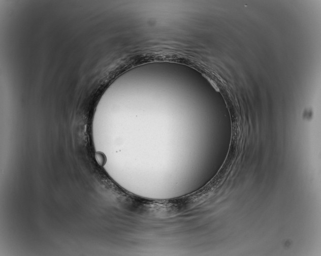 X0000100350615200806130954