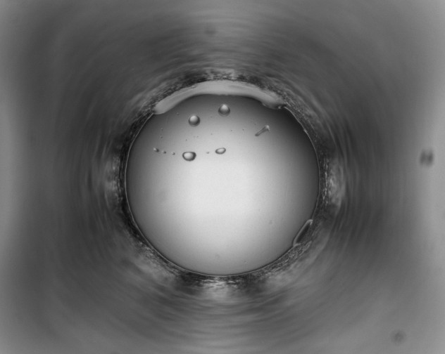 X0000100350616200806130953
