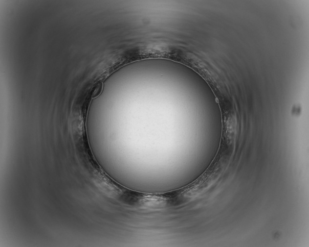 X0000100350617200806130953
