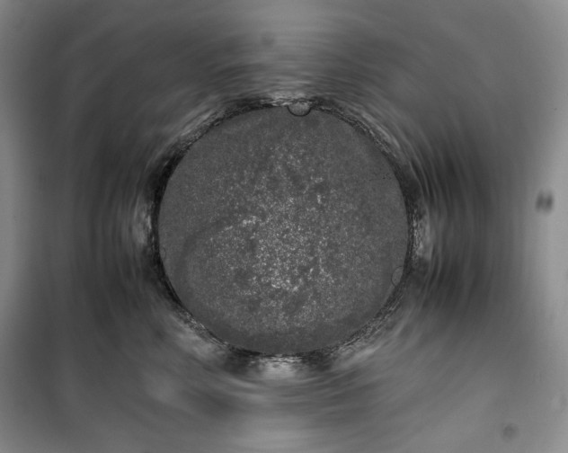 X0000100350618200806130953