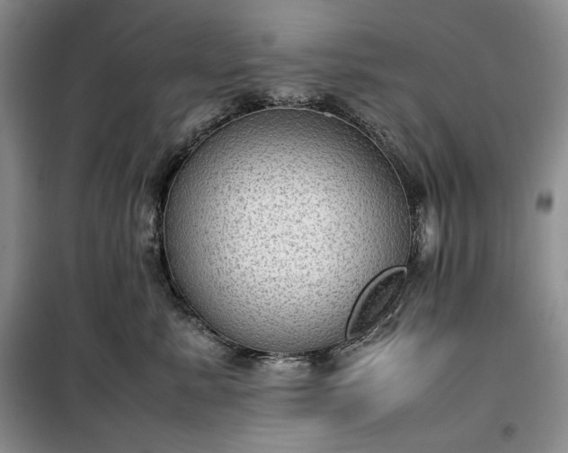 X0000100350619200806130953