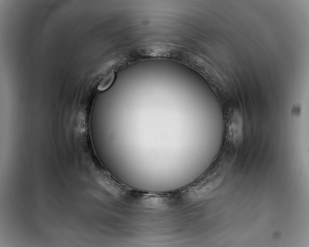 X0000100350620200806130953
