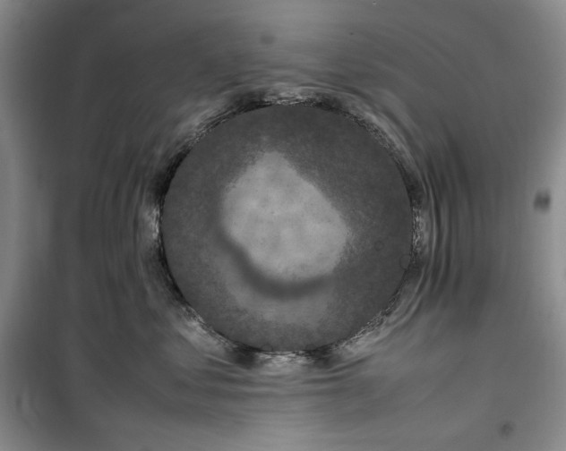 X0000100350621200806130953