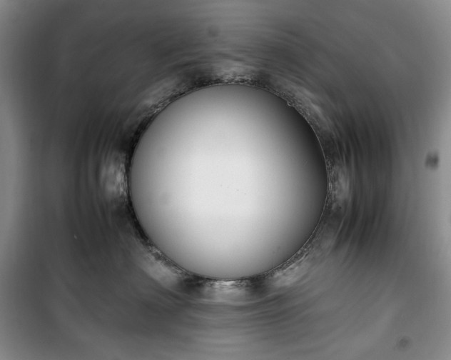 X0000100350622200806130953