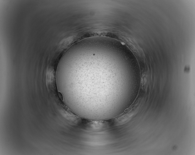 X0000100350623200806130953