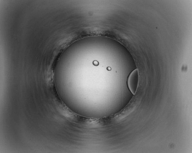 X0000100350624200806130953