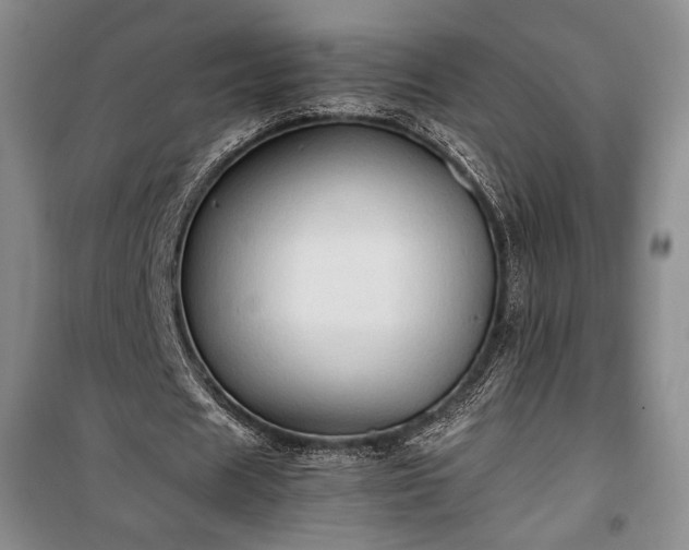 X0000100350625200806130953