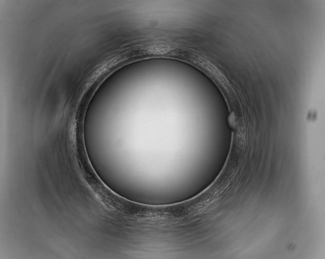 X0000100350626200806130953