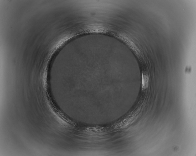 X0000100350627200806130953