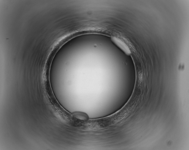 X0000100350628200806130953