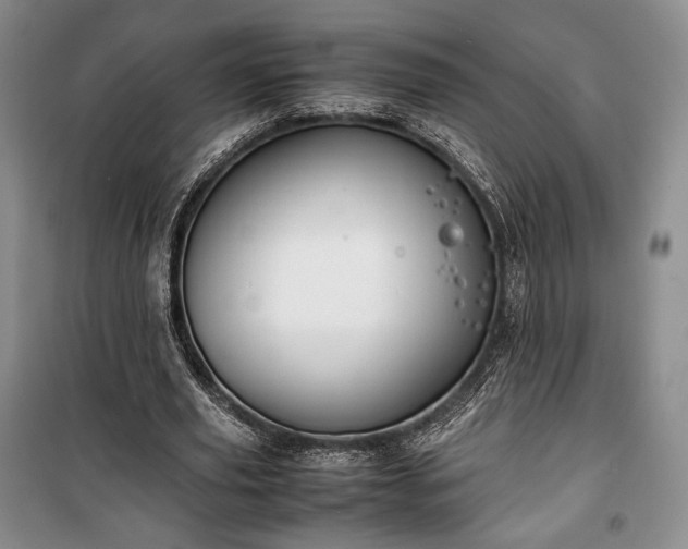 X0000100350629200806130953