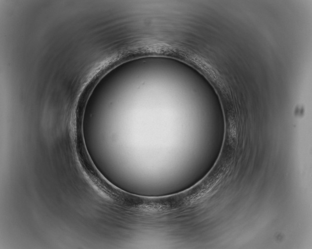 X0000100350630200806130953