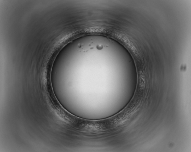X0000100350631200806130953