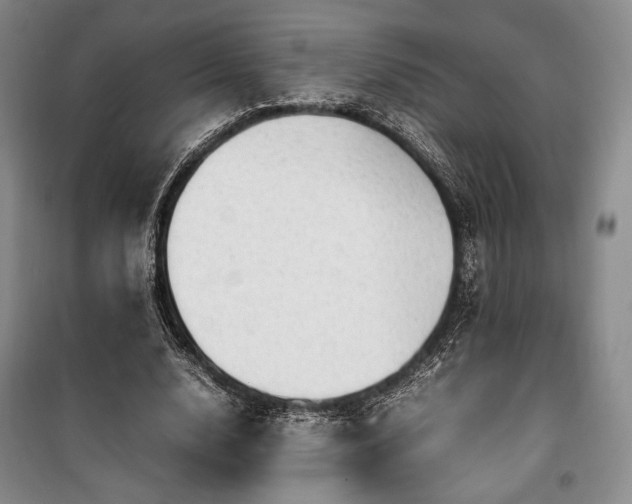 X0000100350632200806130953