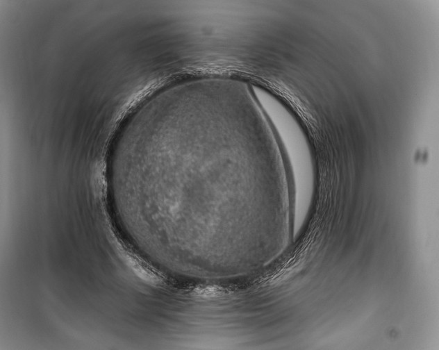 X0000100350634200806130953