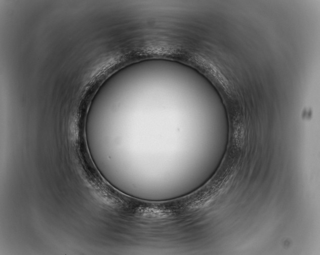 X0000100350635200806130953
