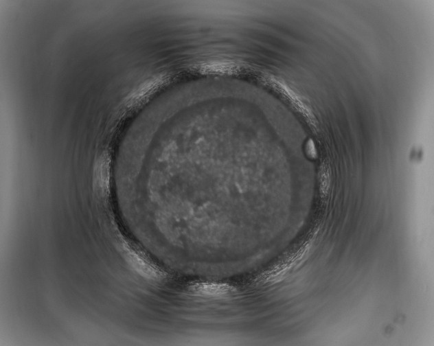 X0000100350637200806130953