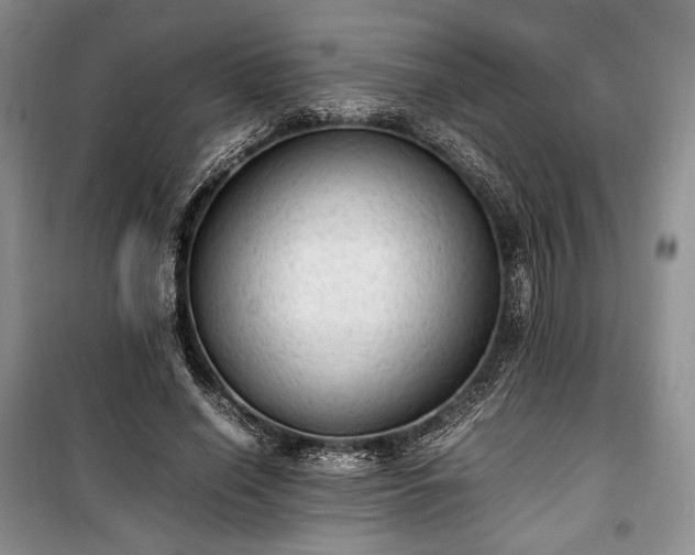 X0000100350638200806130953
