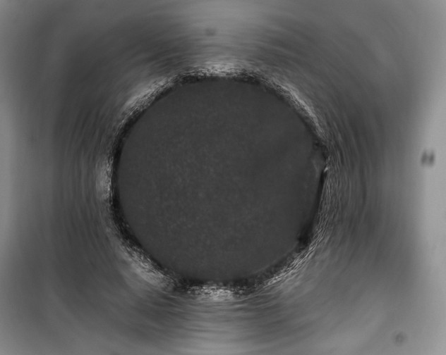 X0000100350640200806130953