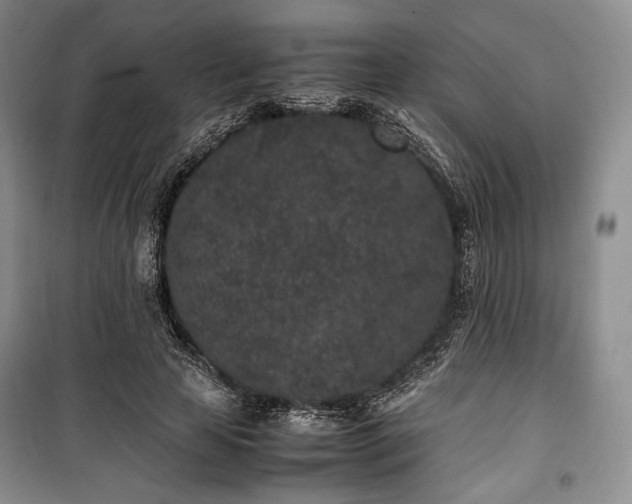 X0000100350641200806130953