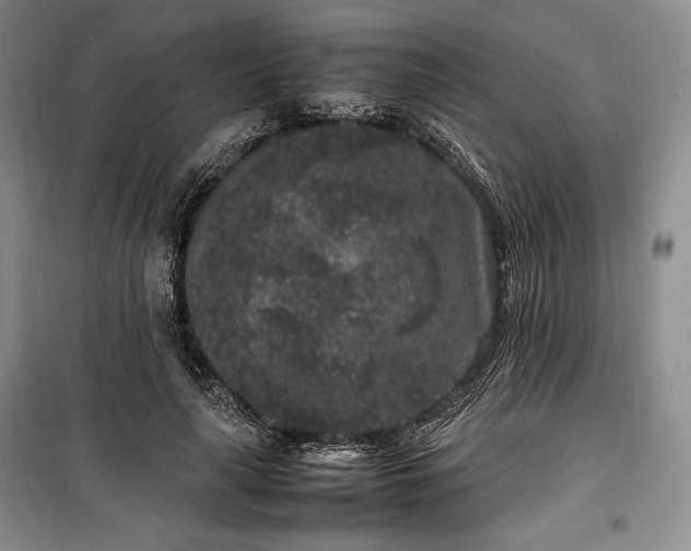 X0000100350643200806130953